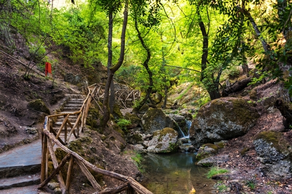 Tours in Rhodes - Vallée des papillons et île de Chalki avec transfert et escorte 